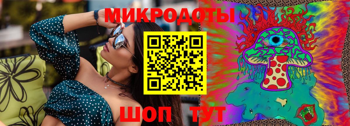 Псилоцибиновые грибы Psilocybe  Галлюциногенные грибы прущие грибы  Королёв  закладка  Вход с VPN 