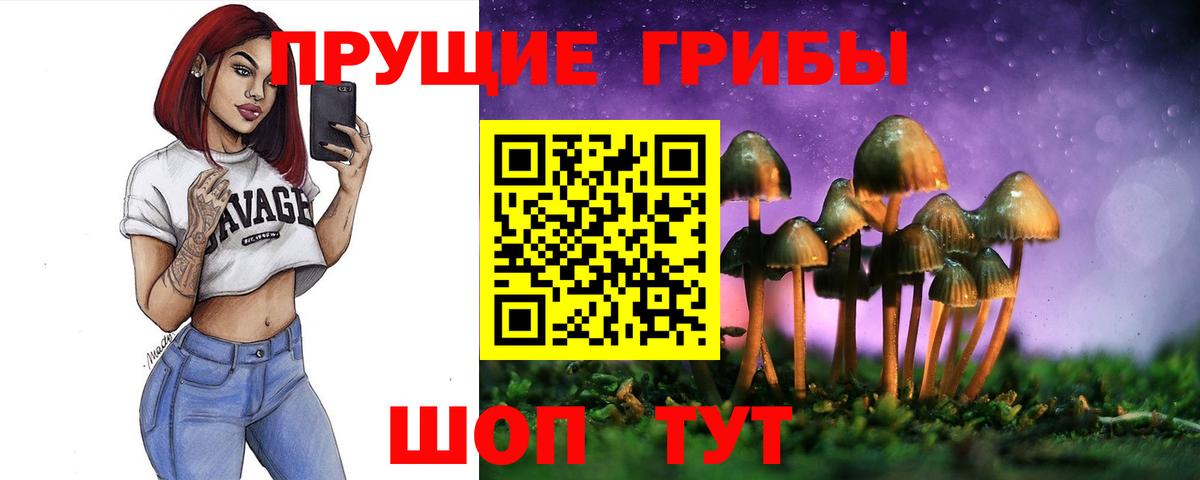 Псилоцибиновые грибы прущие грибы Королёв
